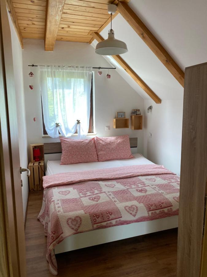 Apartments Vjeverica Zelin Mrzlovodicki Extérieur photo