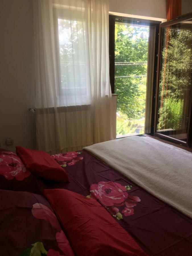 Apartments Vjeverica Zelin Mrzlovodicki Extérieur photo