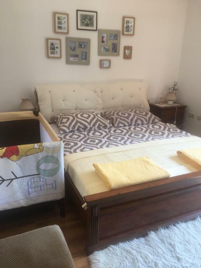 Apartments Vjeverica Zelin Mrzlovodicki Extérieur photo